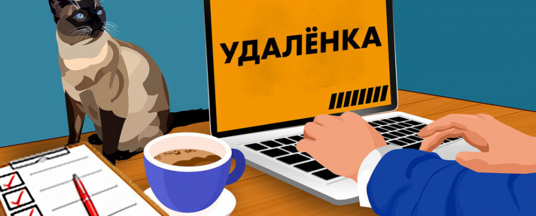 Каковы плюсы и минусы удалёнки?